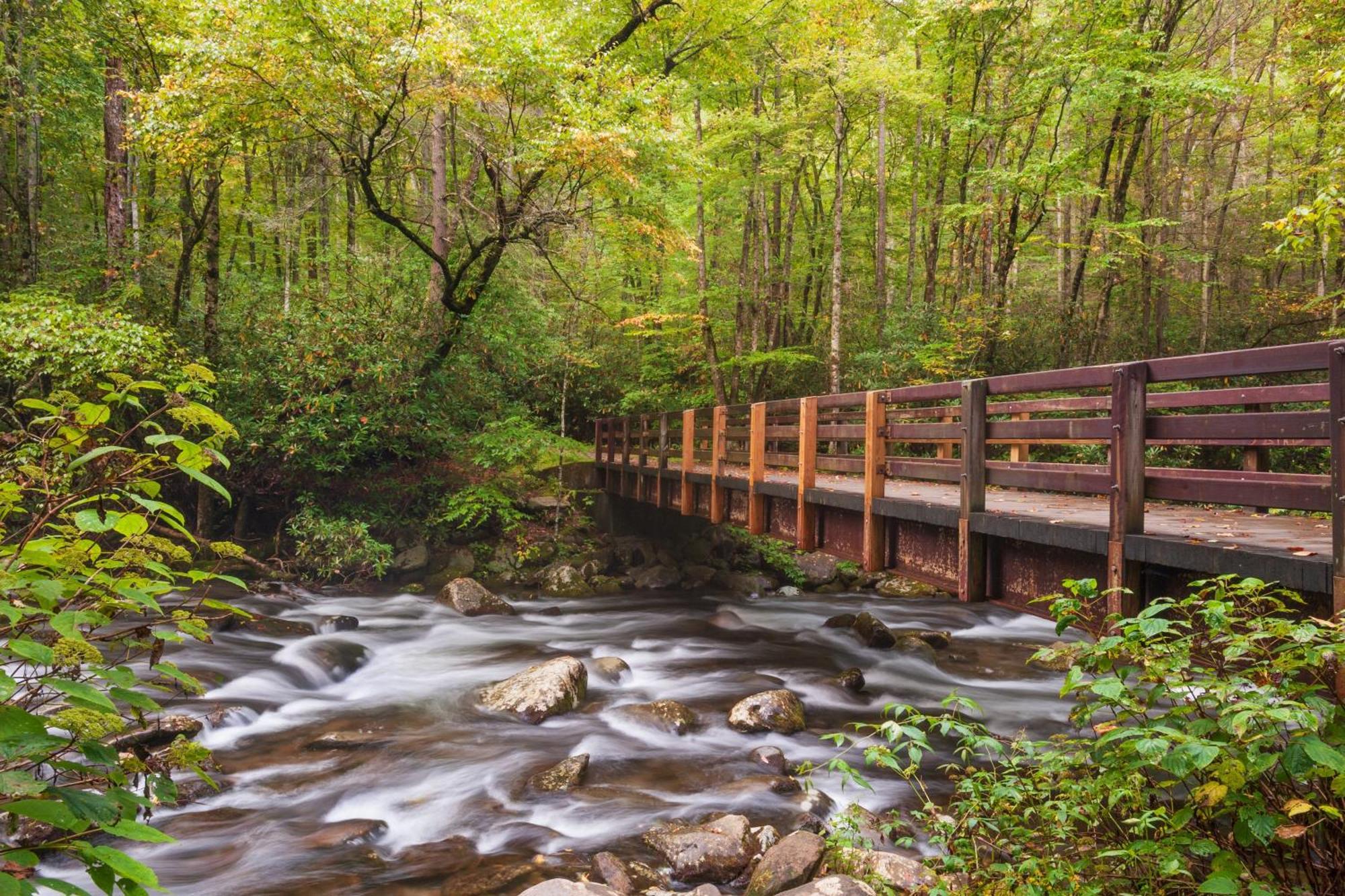 Rock Of Ages, Hot Tub, Game Room, Wifi, 1089 Free Tickets Each Paid Day, Dollywood And More Pigeon Forge Eksteriør bilde